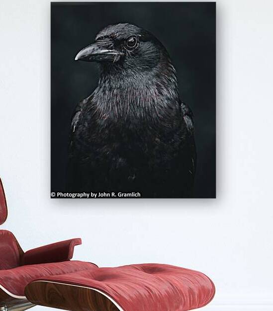 Hello Darkness my old Friend by Vividscope