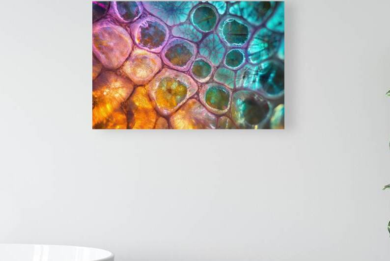 Cellular Harmony ZX492H 55 by Abstract Rebellion