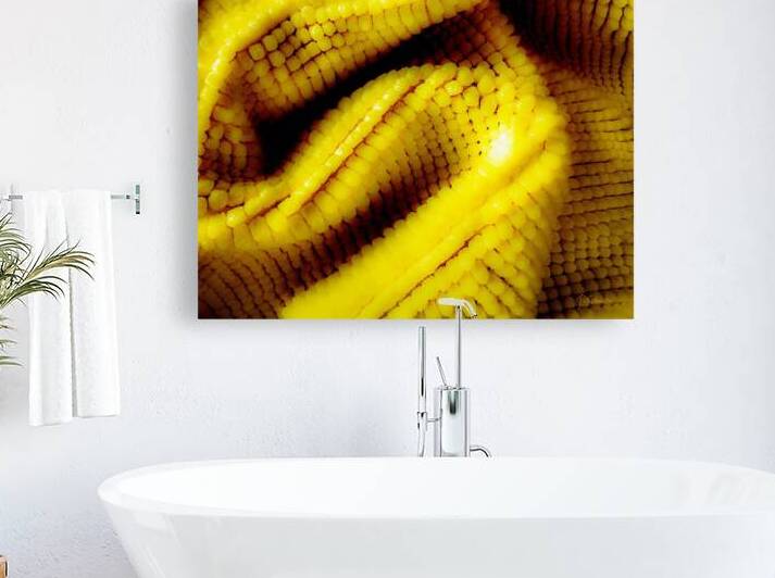 Jaune mais  by Jolabis 