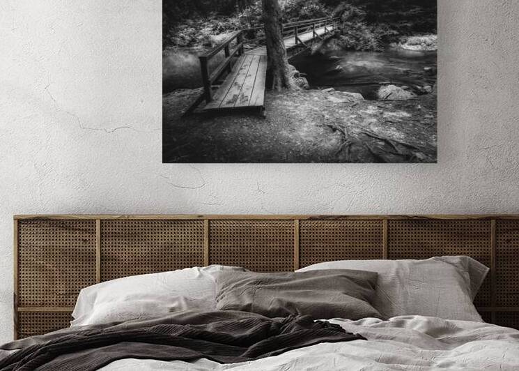 Creek Crossing Black and White by Jason Fink