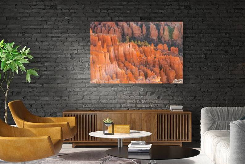 Bryce Canyon National Park Hoodoos by Andrew Pacheco