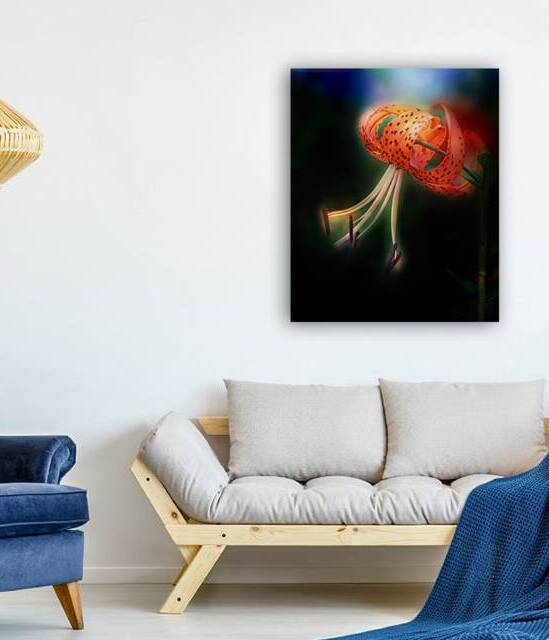 Orange Tiger Lily by Joan Han