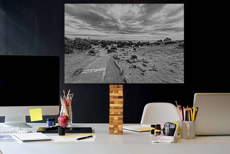 Mesa Arch Hiking Trail Grayscale by Jennifer White