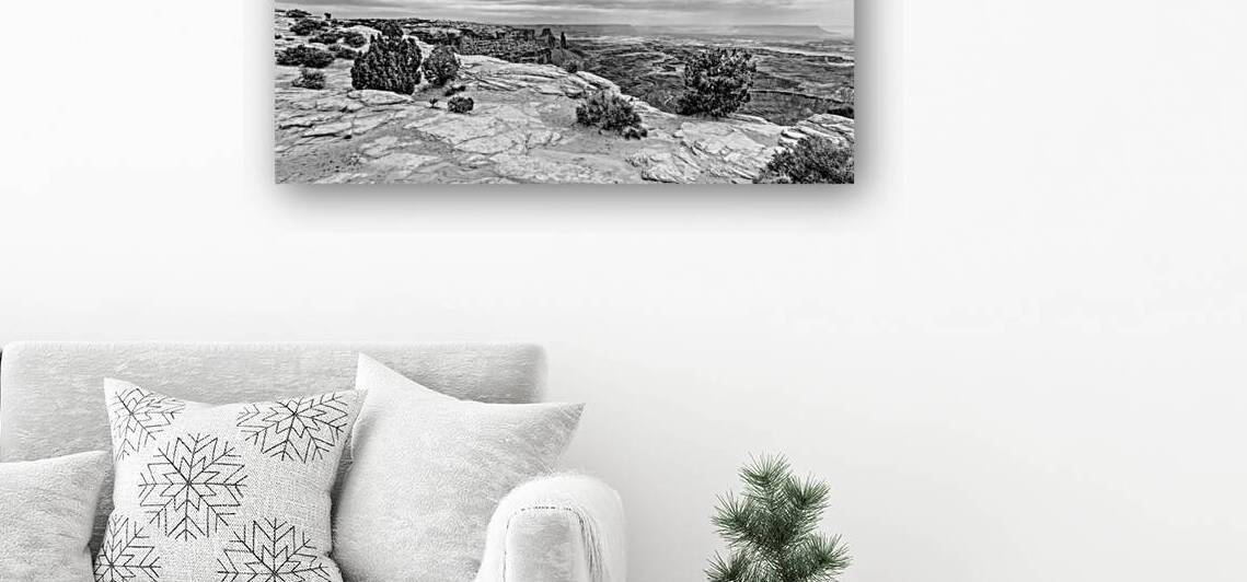 Near Edge Of Buck Canyon Pano Grayscale by Jennifer White