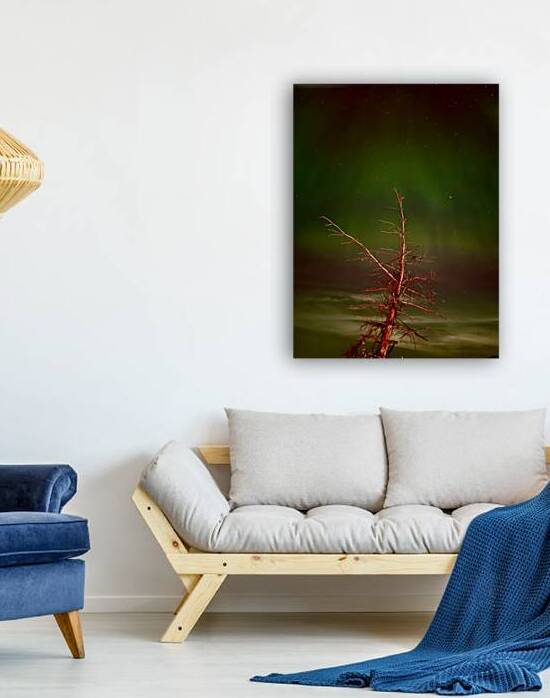 Ghost Tree Under the Northern Lights by Lisa Drew