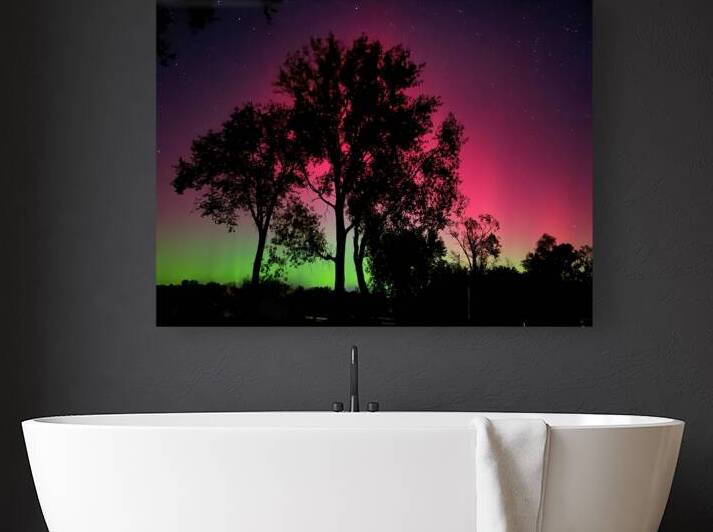 Neon Nights: The Northern Lights Over Minnesota by Lisa Drew