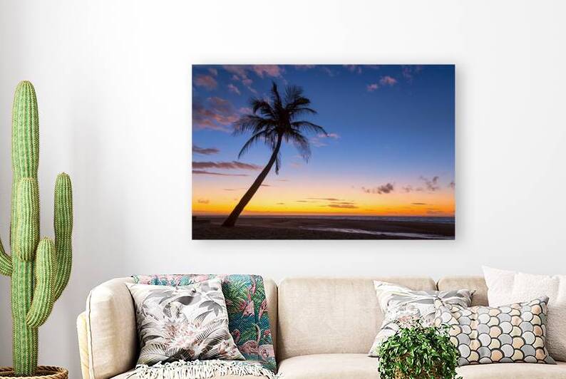 Tropical Island Sunrise by Bo Insogna