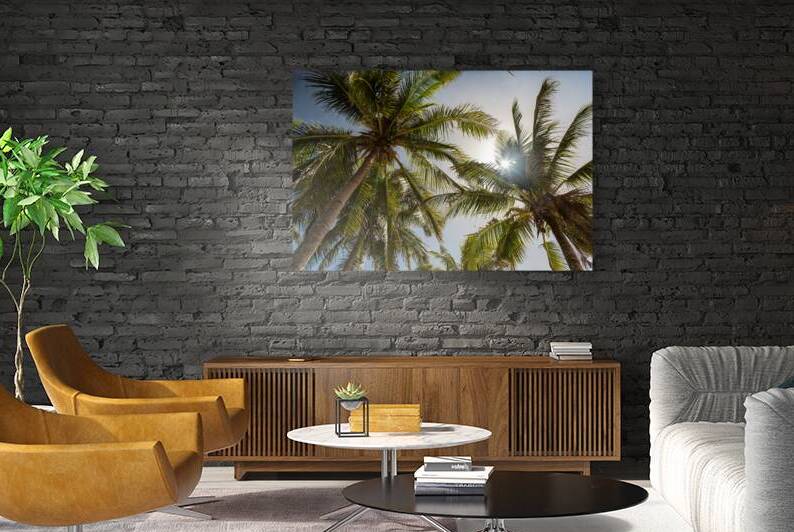 Tropical Sun by Bo Insogna