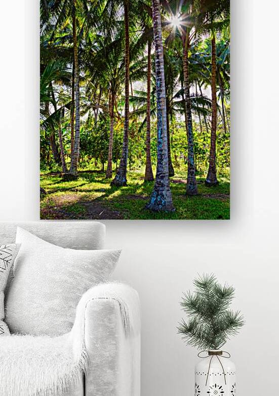 Tropic Sunshine by Bo Insogna