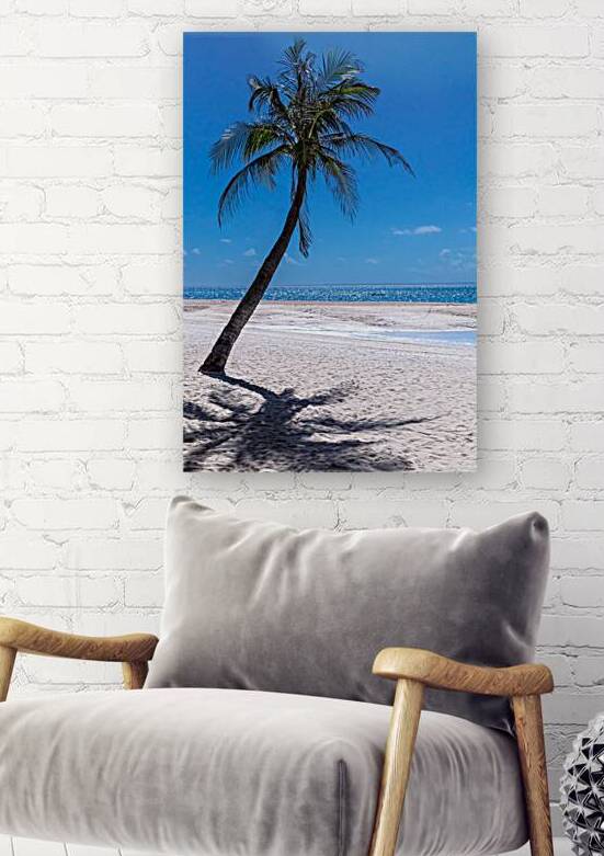 White Sand Beaches and Tropical Blue Skies by Bo Insogna