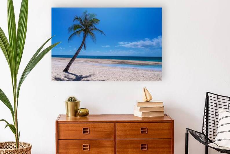 Tropical Blue Skies And White Sand Beaches by Bo Insogna