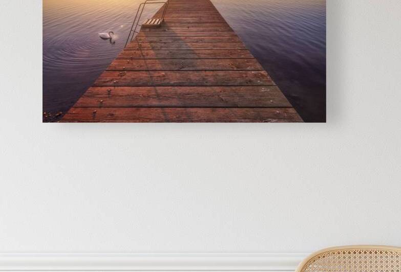 Pier on Lake Trasimeno and a swan at sunset. Italy by Stefano Orazzini