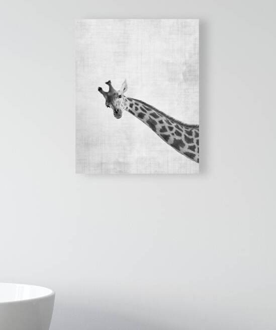 Peekaboo giraffe by DELPHIMAGES