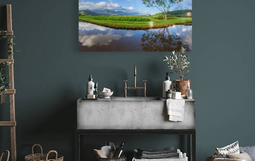 Panoramic view of Hanalei Valley in Kauai by Steve Heap