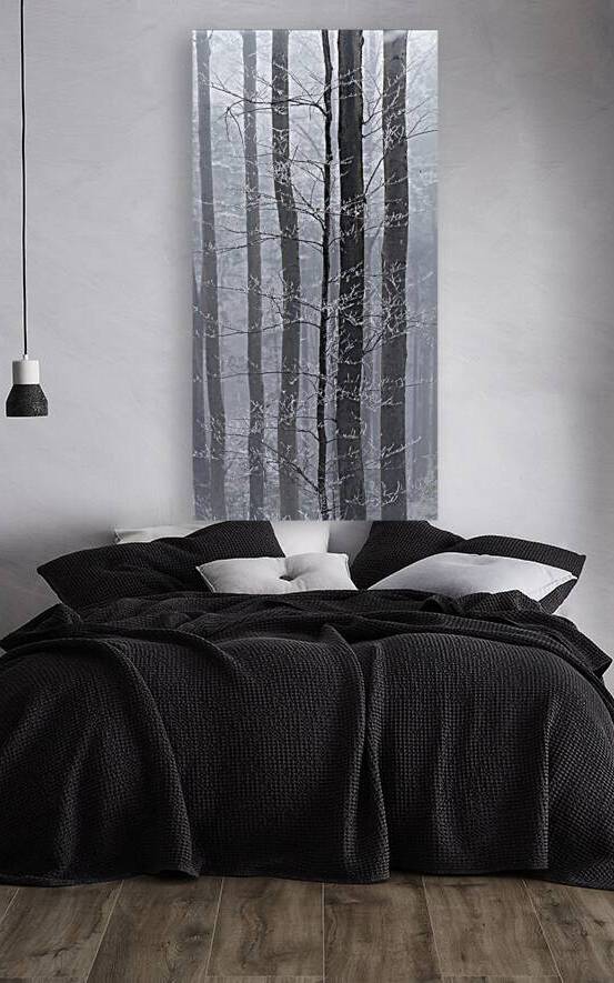 Frozen Fog by Rick Berk