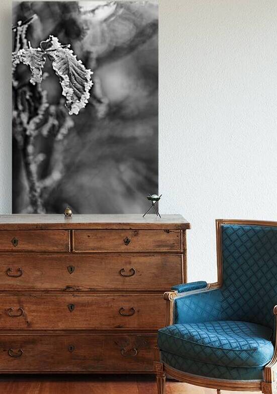 Crystalline Fringe by Rick Berk