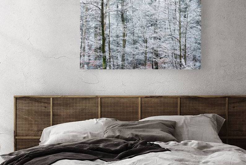 Crystallline Canopy by Rick Berk