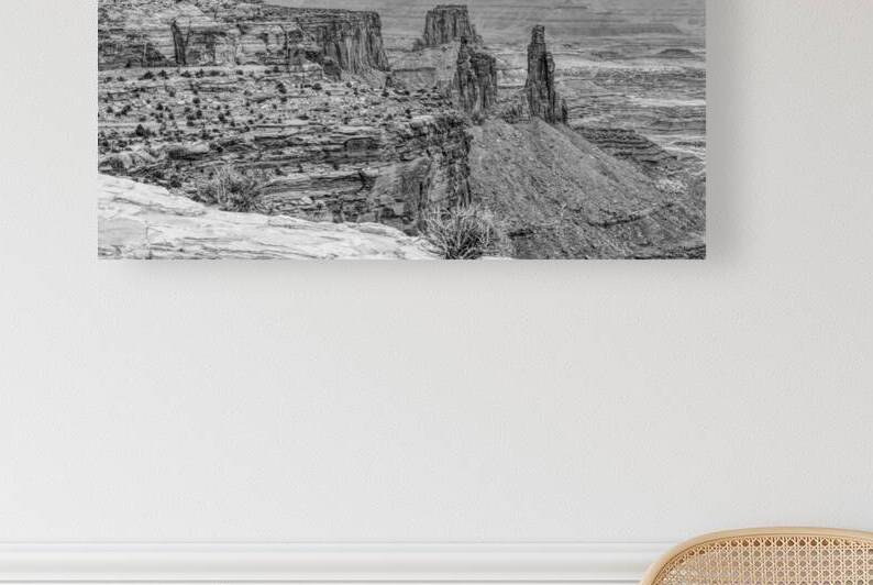 Washer Woman Arch Canyonlands Grayscale by Jennifer White