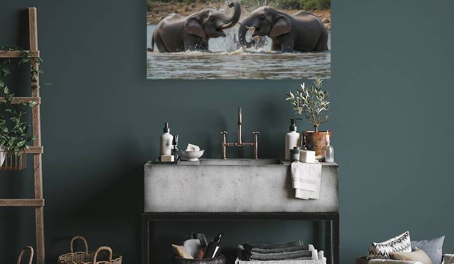 Trunk in Trunk: A Joyful Encounter by Printing Zone