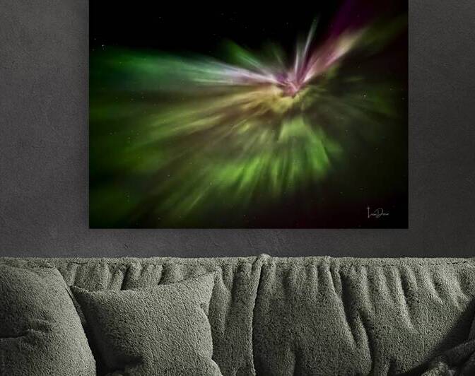 Nightwing by Lisa Drew