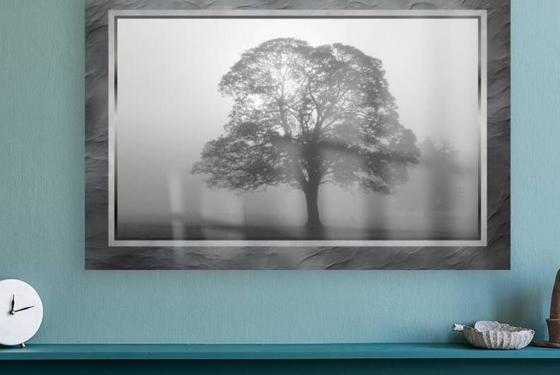 007 015 by Jack Deco