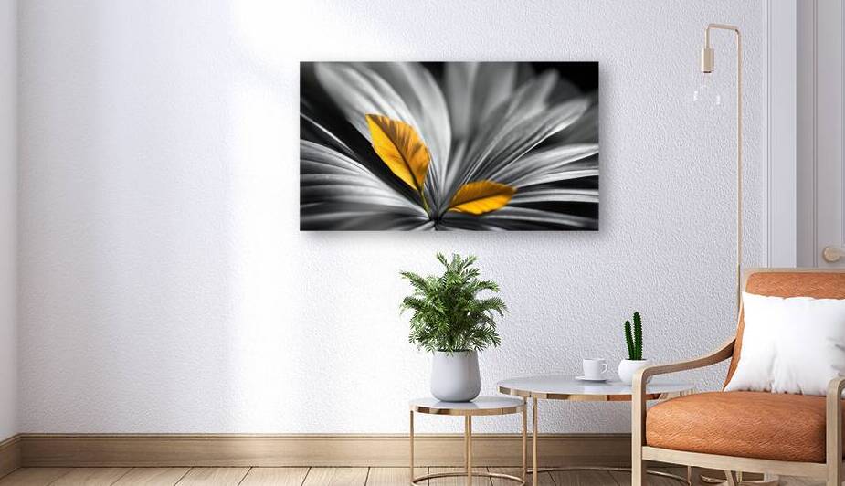 Splash of Yellow by The Mabazza Foundation 