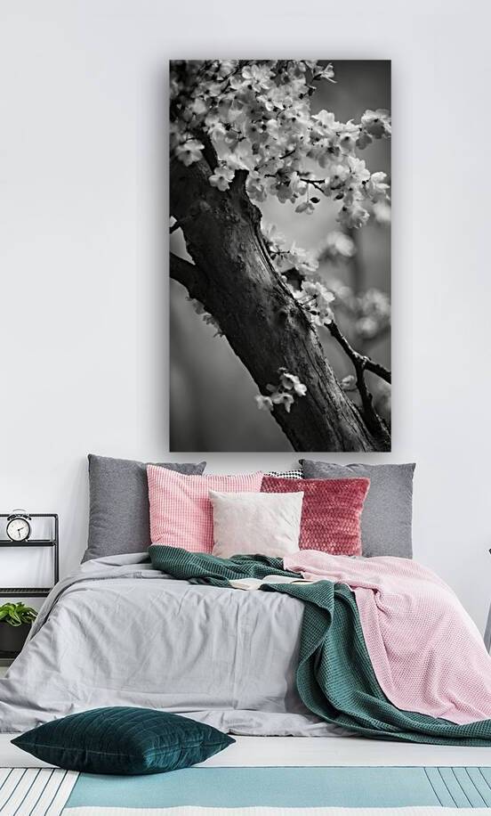 Spring by The Mabazza Foundation 