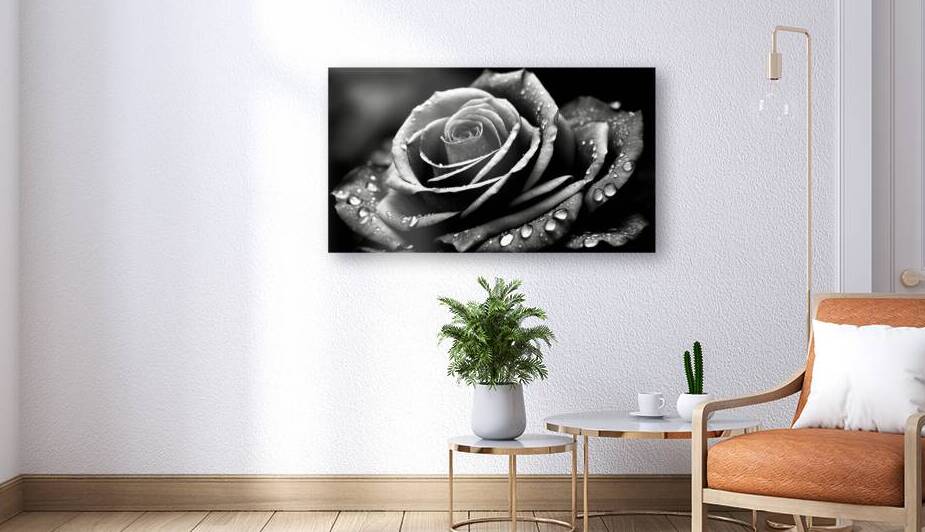 Her name is Rose by The Mabazza Foundation 