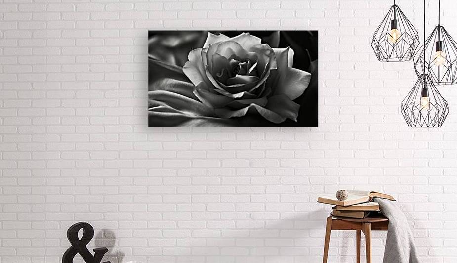 Spring in Black and White by The Mabazza Foundation 