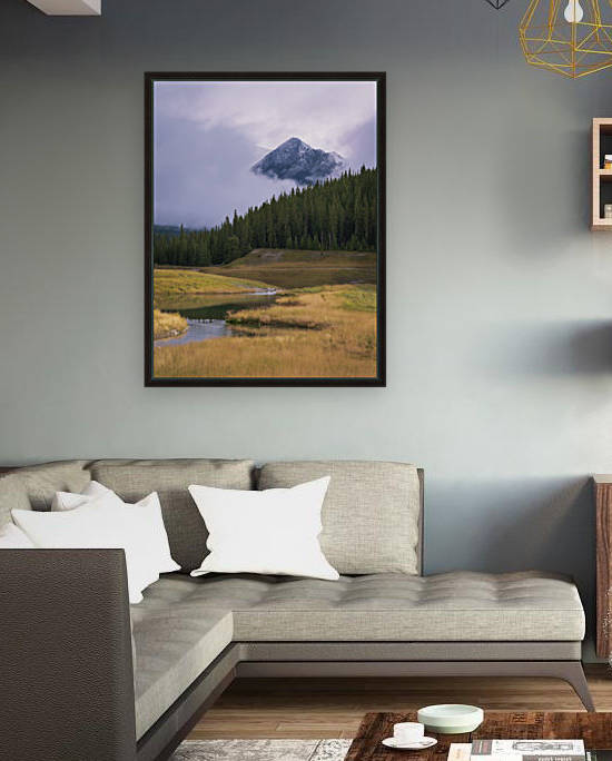 Natures Abstract by Pinaki B