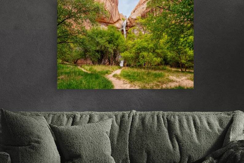 Lower Calf Waterfall Over Trees by Jennifer White