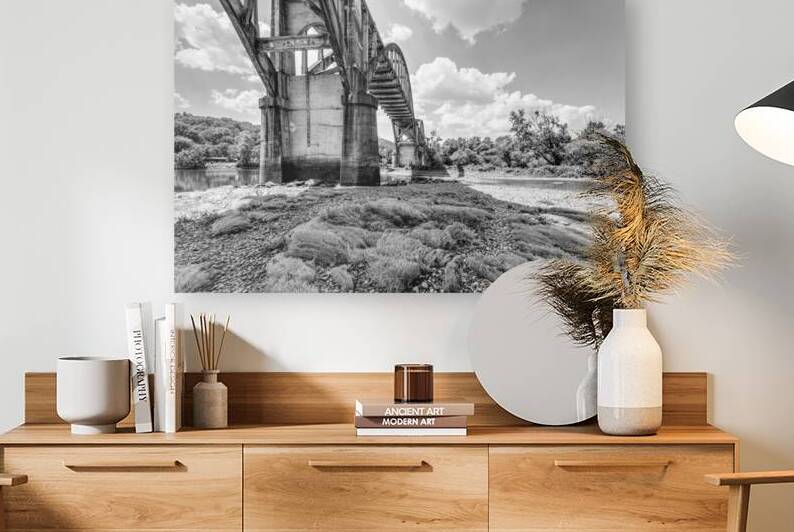 Under Cotter Bridge Arkansas Grayscale by Jennifer White