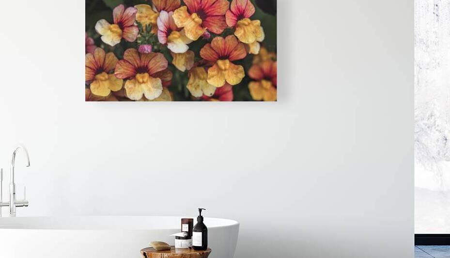  44A7547 by Daniel Thibault artiste-photographe