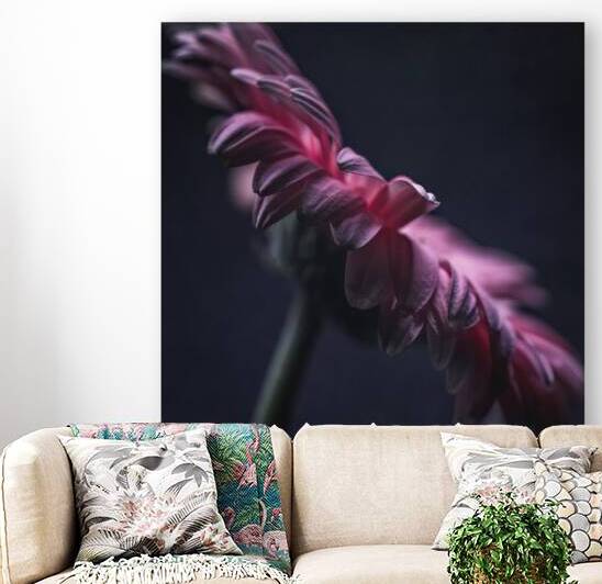  44A6771 by Daniel Thibault artiste-photographe