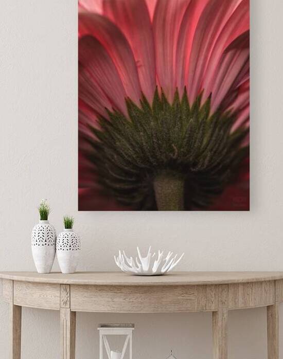  44A6762 by Daniel Thibault artiste-photographe