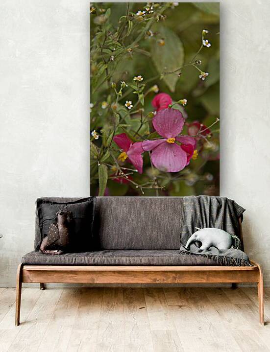  Q8A0446 by Daniel Thibault artiste-photographe