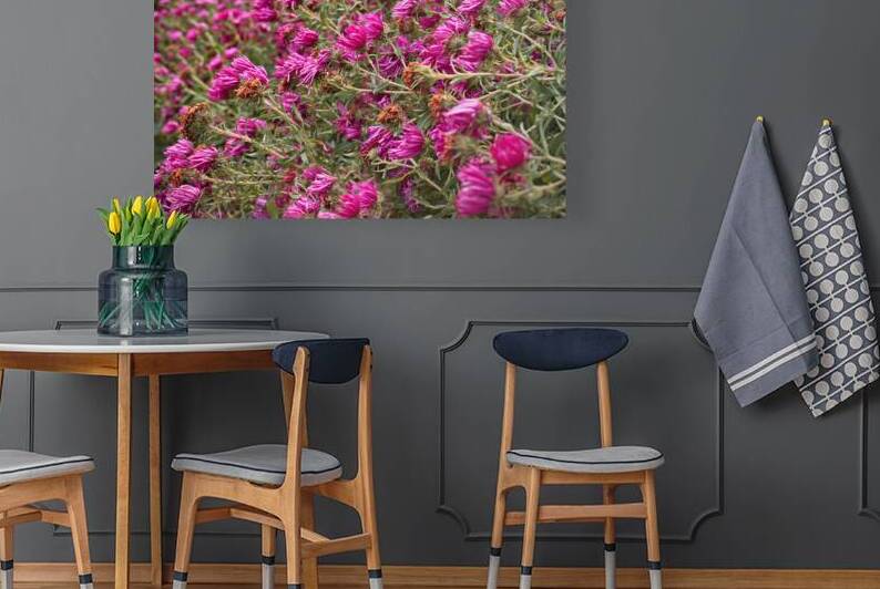  Q8A0580 by Daniel Thibault artiste-photographe