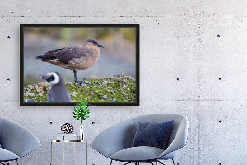 Patagonia 7475 by Robert Burnett