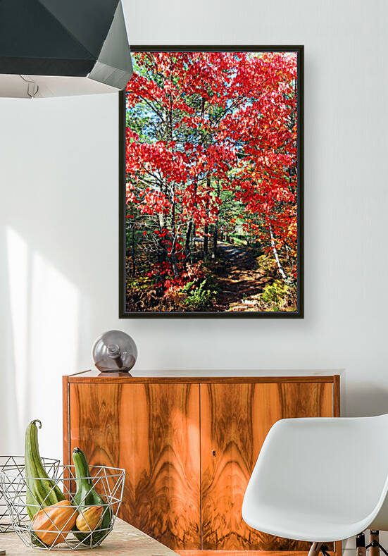 Colorful Fall Trail by Deb Oppermann