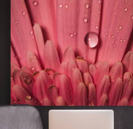 085A6791 by Daniel Thibault artiste-photographe