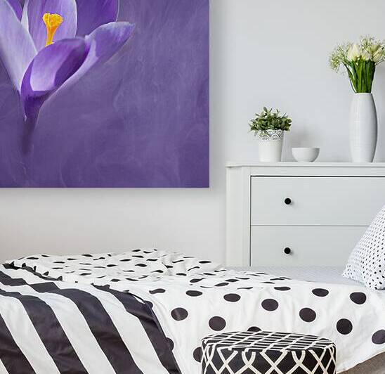 Purple Crocus  by Joan Han