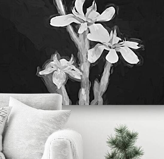 African Iris Morea Dietes X12 1 by Rich Franco