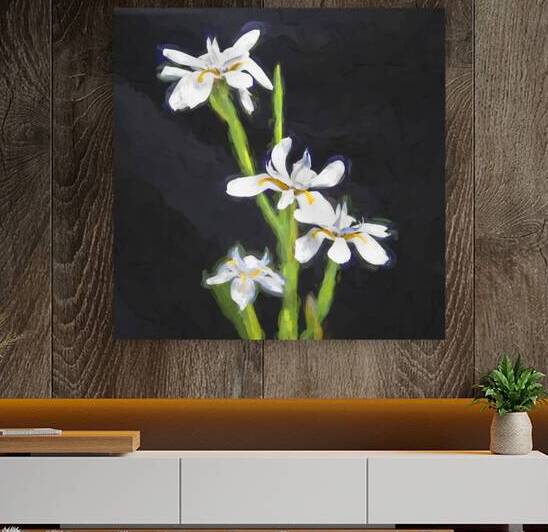 African Iris Morea Dietes X12 2 by Rich Franco