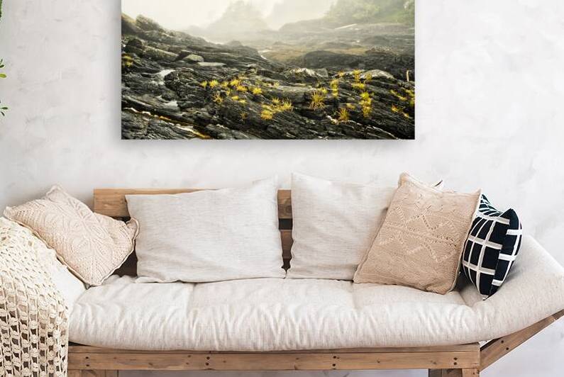 Botanical Beach 02 by Kevin MacTavish