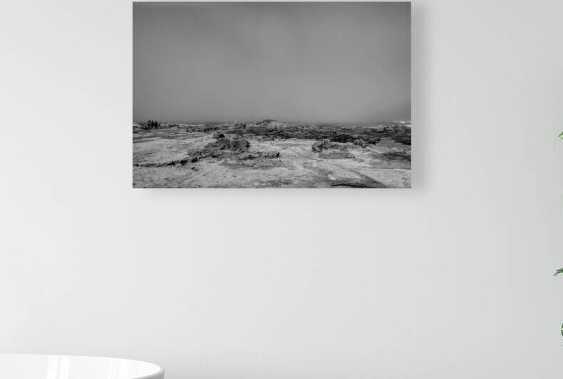 Botanical Beach 01 by Kevin MacTavish