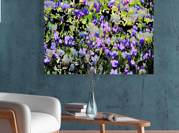  Abstract Crocus Gathering                                                                                                              by Catriona Roberts Nature Photography and Designs