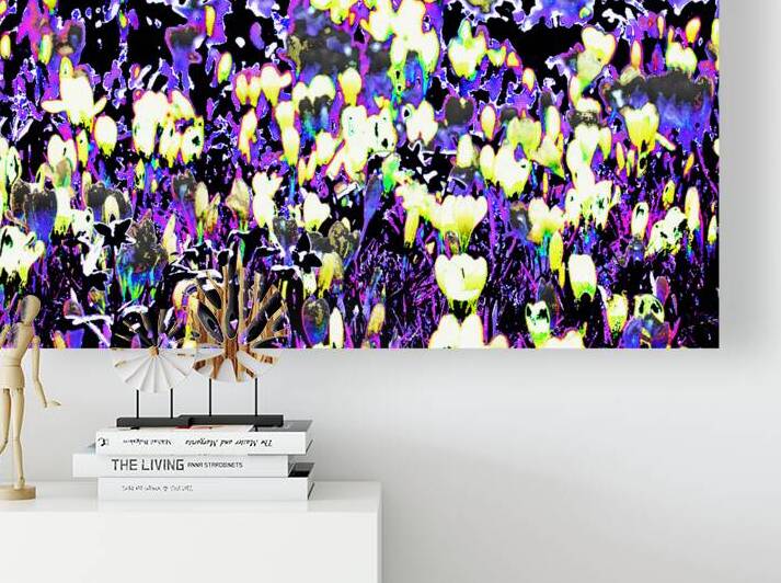 Abstract Crocus Dance                                                                                                 by Catriona Roberts Nature Photography and Designs