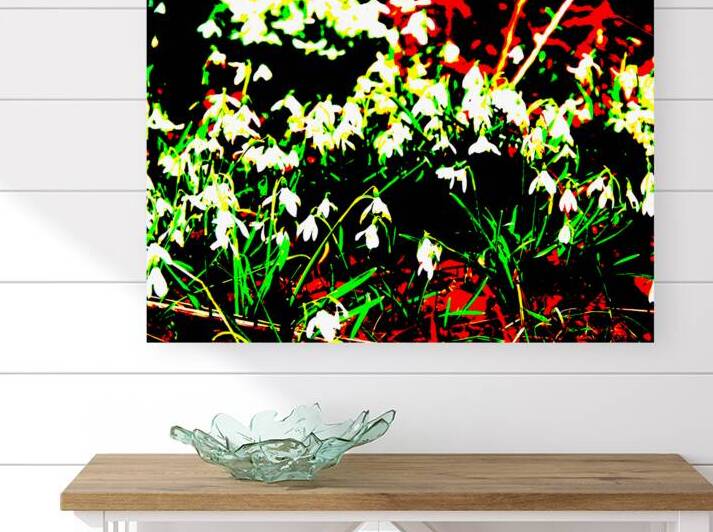  Abstract Snow Drops                                                                                                               by Catriona Roberts Nature Photography and Designs