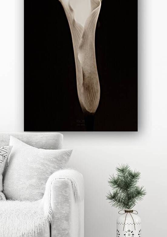 044A3754 by Daniel Thibault artiste-photographe