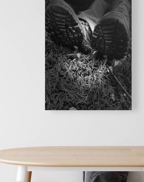 Scenes from the Trail- Resting  by Catriona Roberts Nature Photography and Designs